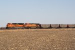 BNSF 9079 west